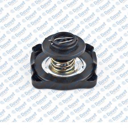 RICH R802203 Radyator Kapagi Boyali M131 Dks